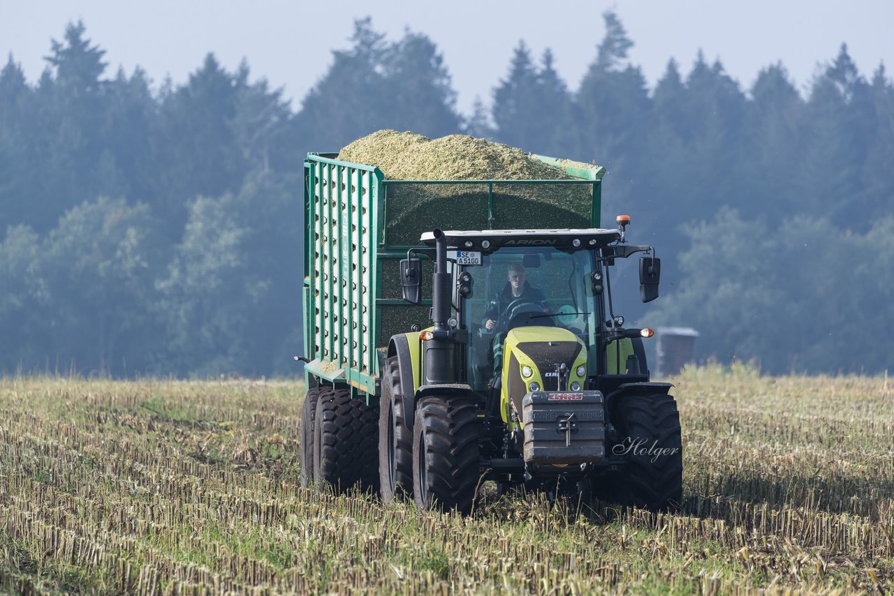 Bild 137 - Maisernte